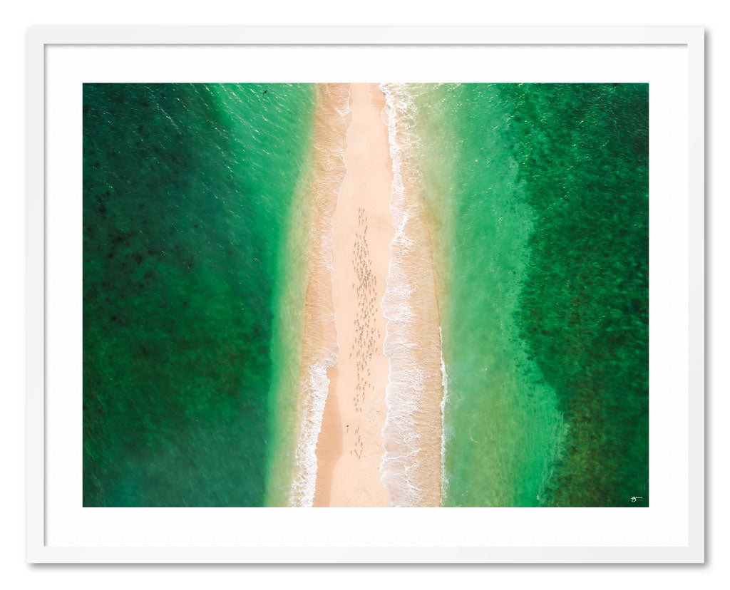 EIDETIC MEMORIES, EM0893 - SEAGULL SANDBAR, LANDSCAPE PRINT, East Arnhem Land, Northern Territory, Australia
