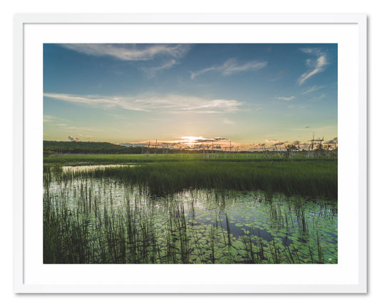EIDETIC MEMORIES, EM0894 - TOWN LAGOON, LANDSCAPE PRINT, Nhulunbuy, East Arnhem Land, Northern Territory, Australia