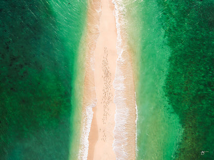 EIDETIC MEMORIES, EM0893 - SEAGULL SANDBAR, LANDSCAPE PRINT, East Arnhem Land, Northern Territory, Australia