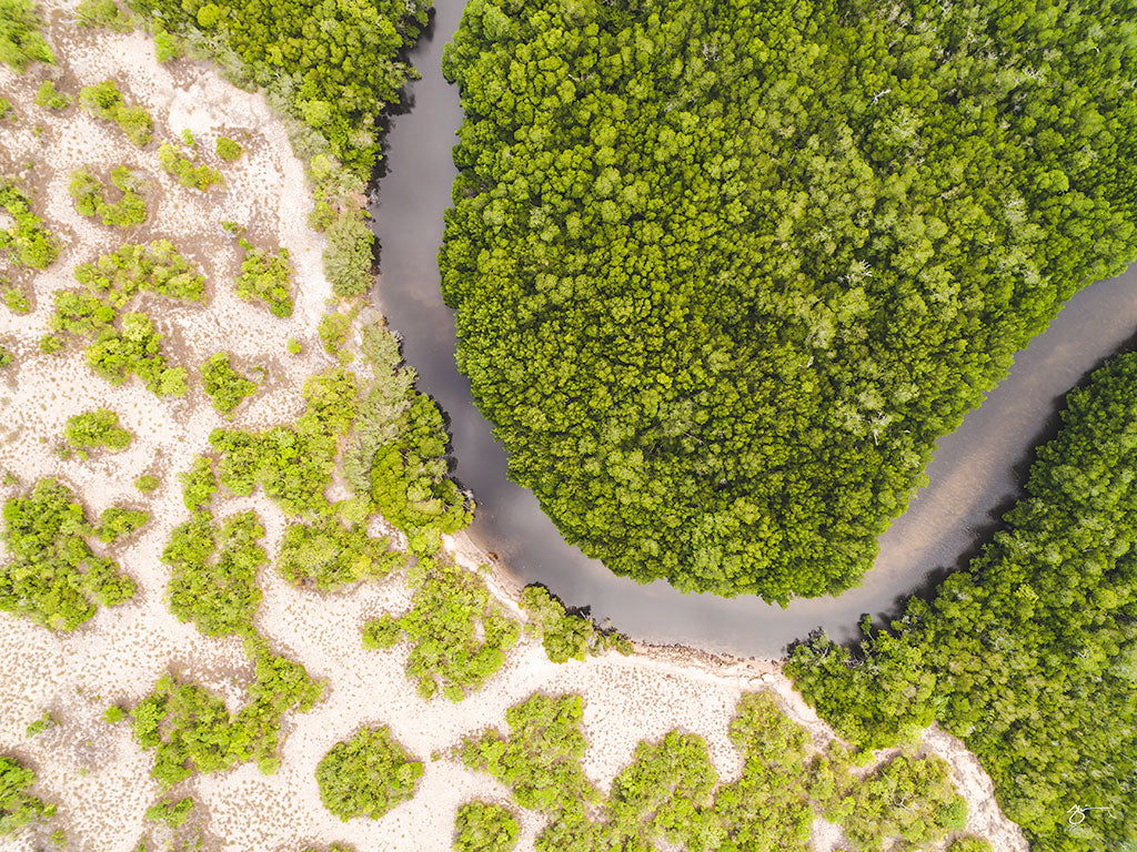 EIDETIC MEMORIES, EM0896 - CROCODILE CREEK, LANDSCAPE PRINT, Crocodile Creek, East Arnhem Land, Northern Territory, Australia