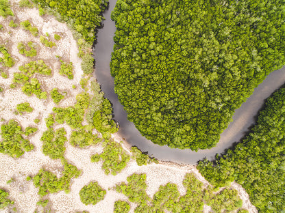 EIDETIC MEMORIES, EM0896 - CROCODILE CREEK, LANDSCAPE PRINT, Crocodile Creek, East Arnhem Land, Northern Territory, Australia