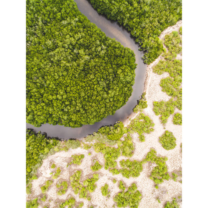 EIDETIC MEMORIES, EM0896 - CROCODILE CREEK, PORTRAIT PRINT, Crocodile Creek, East Arnhem Land, Northern Territory, Australia