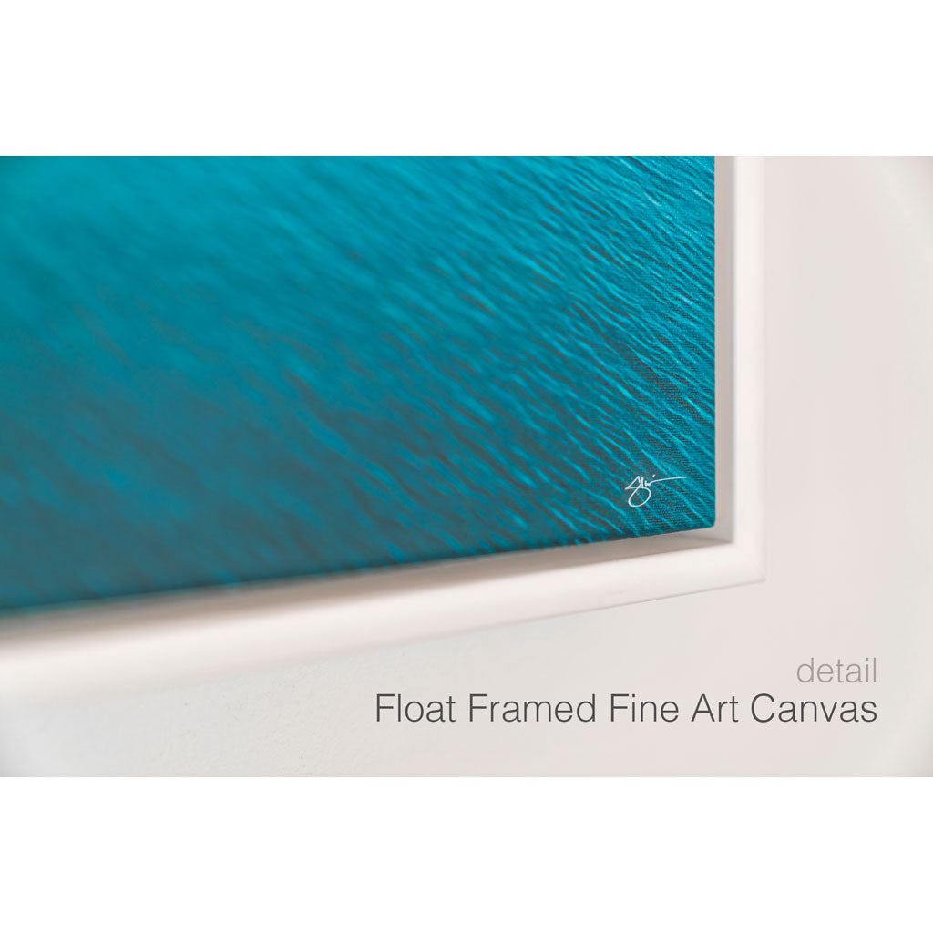 EIDETIC MEMORIES, FLOAT FRAMED FINE ART CANVAS DETAIL